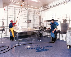 A veterinary facility depicted with hygiene critical flooring installed, inclusive of a company logo displayed within.