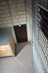 Dog kennel floor grating replaced with new seamless floor for a dog pound.