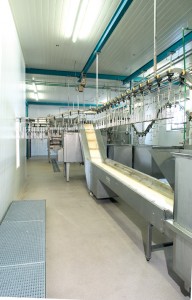 A dairy manufacturing line takes full advantage of USDA approved flooring.