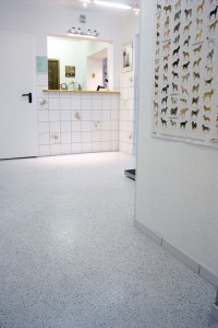 A pharmaceutical floor blends naturally in this pharmaceutical hallway.