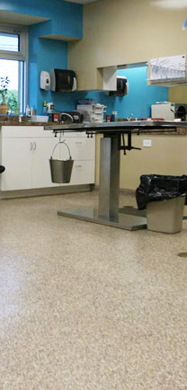 The Best Commercial Floors For A Veterinary Clinic.