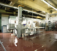 Meat process workers clean wet floor cemented sealer.