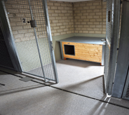 Opened kennel gate for dogs displays interior flooring design.