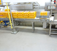 Food grade flooring in egg prodcution facility.