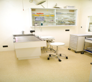 A veterinary groom area is kept bright with a natural colored floor.