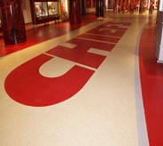 The team logo is proudly displayed on the stadium floor.