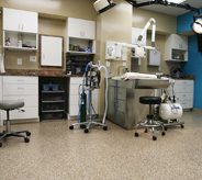 Veterinary medical room floor.