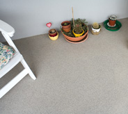 Assisted living floor with plants and chair on top.