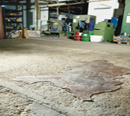 Badly delapidated concrete shows desperate need for new floor covering.