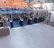 Far shot of a milking station at a dairy processor.