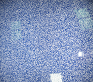 Close up view depicting optional flooring sealer reflecting ambient lighting over blue and white flaked surface.
