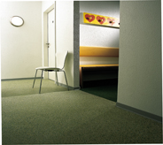 A lovely green floor in a government building waiting room makes for a pleasant setting.