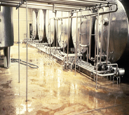 Shimmering light yellow industrialed resin floors resinate reflection from large stainless steel tanks.