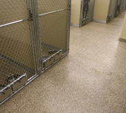 Pet cage on flooring inside pet shop.