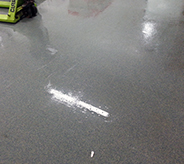 Wet flooring in a facilty that processes poultry.