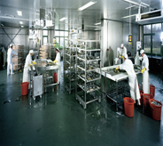 Buckets sit atop a green floor in this seafood processing plant.