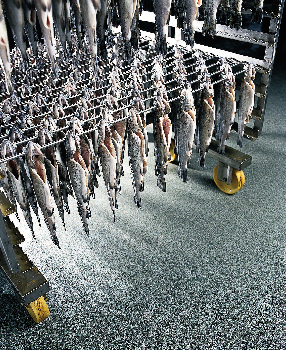 Seafood Processing Flooring - Floors For Refiners | Silikal